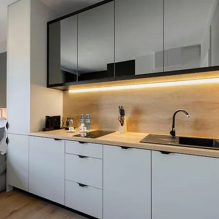 Apartament Centrum Wigury Dostep Na Kod Blisko Galeria Lodzka Piotrkowska Szary *