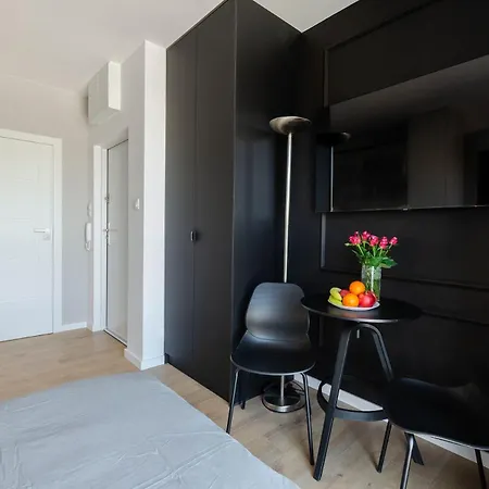 Apartament Centrum Wigury Dostep Na Kod Blisko Galeria Lodzka Piotrkowska Szary Łódź