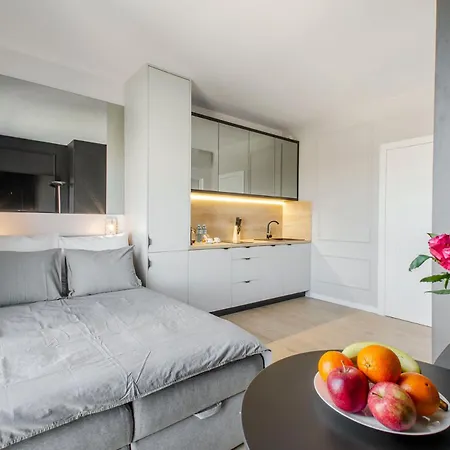 Apartament Centrum Wigury Dostep Na Kod Blisko Galeria Lodzka Piotrkowska Szary