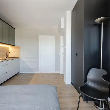 Centrum Wigury Dostep Na Kod Blisko Galeria Lodzka Piotrkowska Szary ウッチ