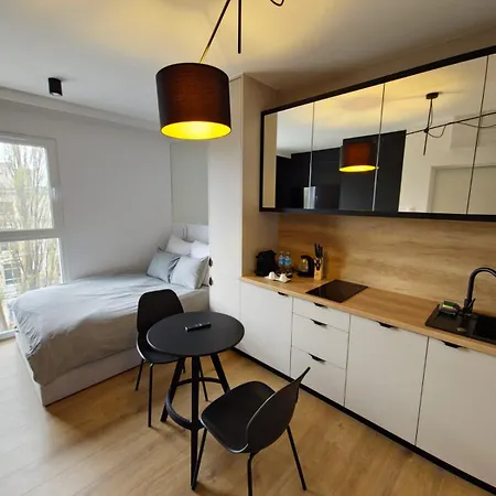 Centrum Wigury Dostep Na Kod Blisko Galeria Lodzka Piotrkowska Szary