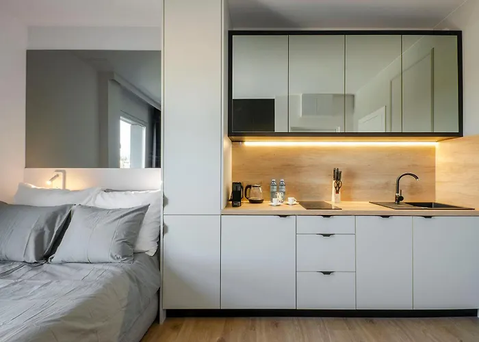 Centrum Wigury Dostep Na Kod Blisko Galeria Lodzka Piotrkowska Szary Apartmán