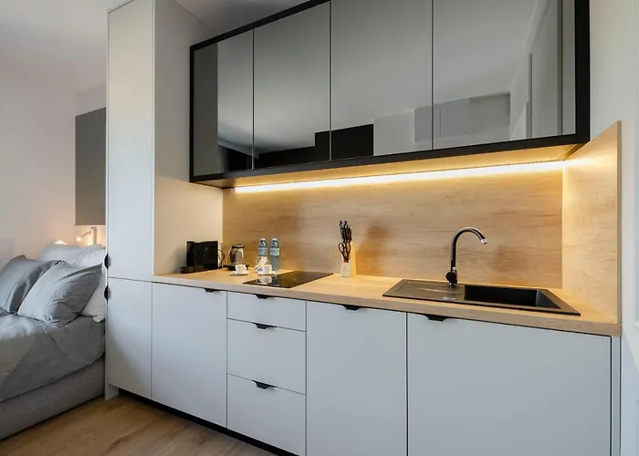 Apartmán Centrum Wigury Dostep Na Kod Blisko Galeria Lodzka Piotrkowska Szary *