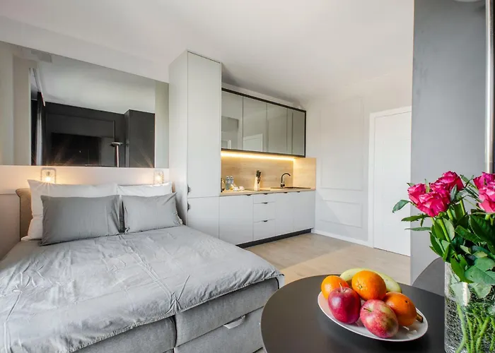 アパート Centrum Wigury Dostep Na Kod Blisko Galeria Lodzka Piotrkowska Szary