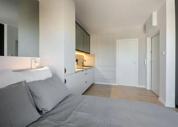 Centrum Wigury Dostep Na Kod Blisko Galeria Lodzka Piotrkowska Szary Apartmán Lodž